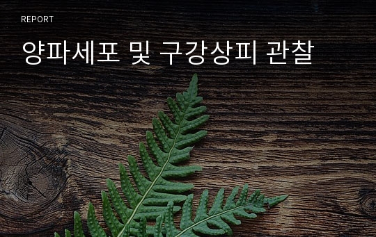 양파세포 및 구강상피 관찰