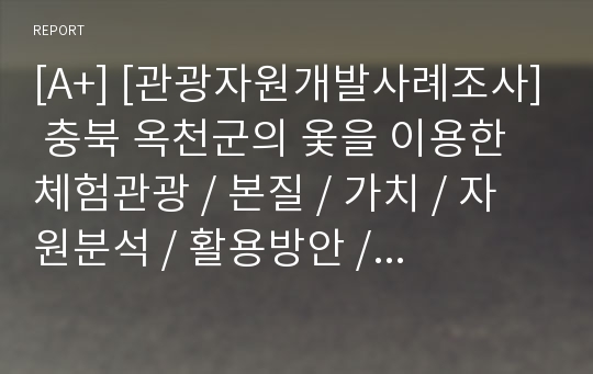 [A+] [관광자원개발사례조사] 충북 옥천군의 옻을 이용한 체험관광 / 본질 / 가치 / 자원분석 / 활용방안 / 기대효과