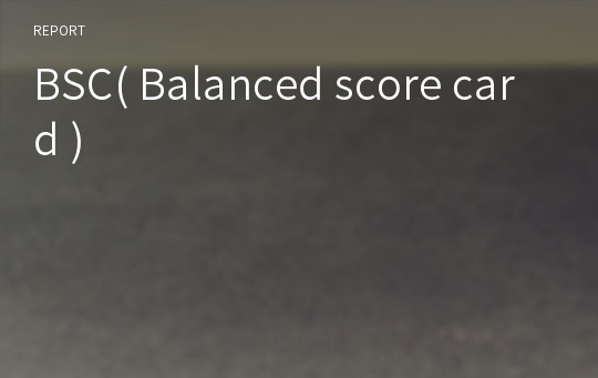 BSC( Balanced score card )