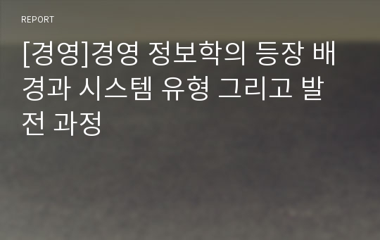 [경영]경영 정보학의 등장 배경과 시스템 유형 그리고 발전 과정