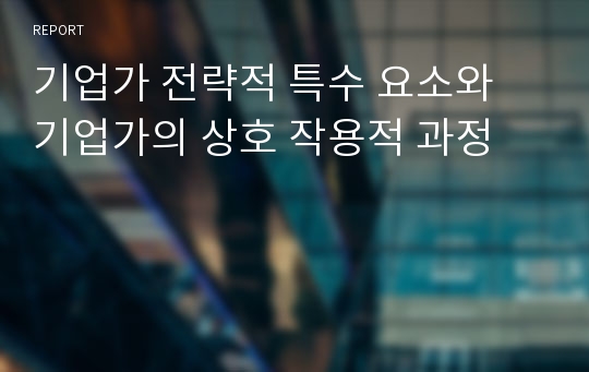 기업가 전략적 특수 요소와 기업가의 상호 작용적 과정