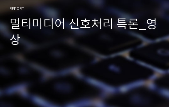 멀티미디어 신호처리 특론_영상