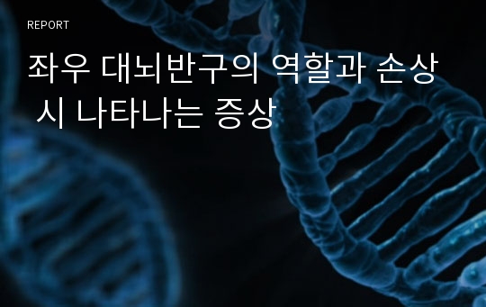 좌우 대뇌반구의 역할과 손상 시 나타나는 증상