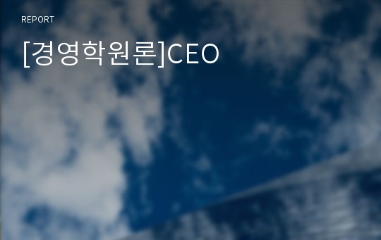 [경영학원론]CEO