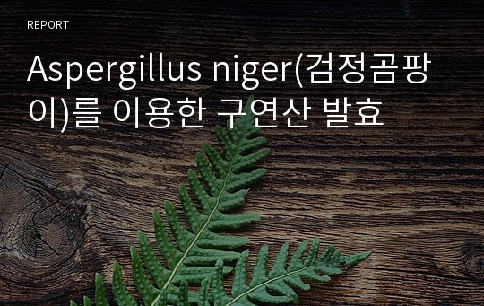 Aspergillus niger(검정곰팡이)를 이용한 구연산 발효
