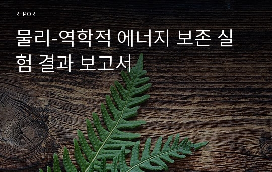 물리-역학적 에너지 보존 실험 결과 보고서