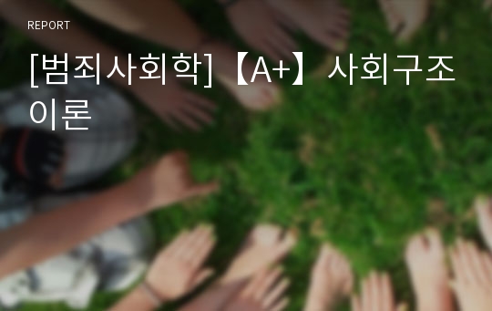 [범죄사회학]【A+】사회구조이론