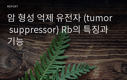 암 형성 억제 유전자 (tumor suppressor) Rb의 특징과 기능