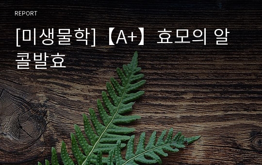 [미생물학]【A+】효모의 알콜발효