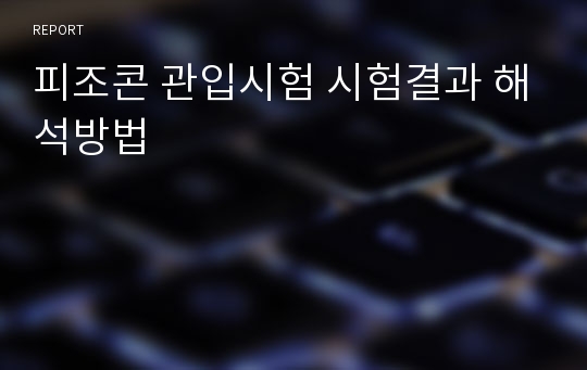 피조콘 관입시험 시험결과 해석방법