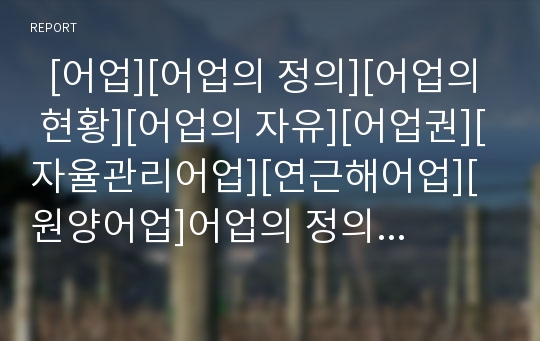   [어업][어업의 정의][어업의 현황][어업의 자유][어업권][자율관리어업][연근해어업][원양어업]어업의 정의, 어업의 현황, 어업의 자유, 어업권, 자율관리어업, 연근해어업, 원양어업 분석