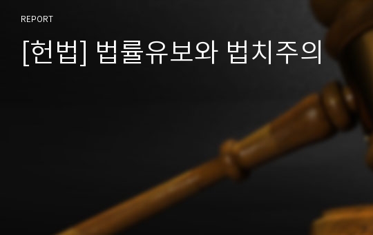 [헌법] 법률유보와 법치주의