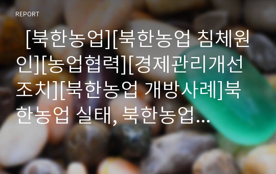   [북한농업][북한농업 침체원인][농업협력][경제관리개선조치][북한농업 개방사례]북한농업 실태, 북한농업 지원현황, 북한농업 침체원인, 북한농업의 농업협력, 북한농업의 경제관리개선조치, 북한농업의 개방 사례