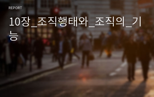 10장_조직행태와_조직의_기능