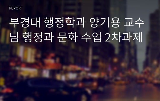 부경대 행정학과 양기용 교수님 행정과 문화 수업 2차과제