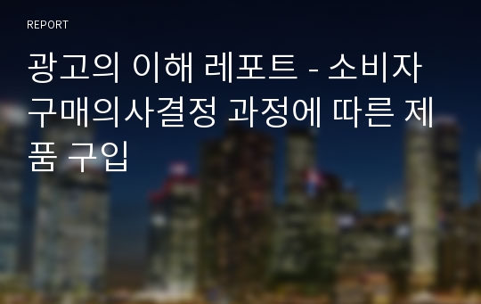 광고의 이해 레포트 - 소비자 구매의사결정 과정에 따른 제품 구입