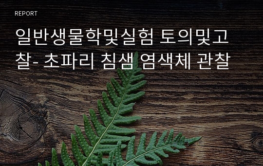 일반생물학및실험 토의및고찰- 초파리 침샘 염색체 관찰