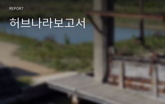 허브나라보고서