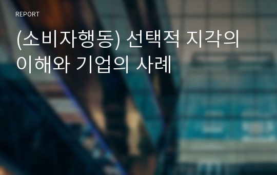 (소비자행동) 선택적 지각의 이해와 기업의 사례