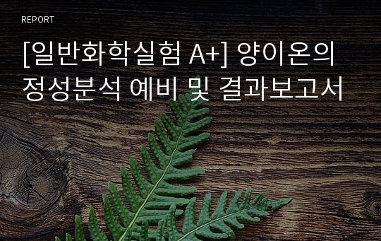 [일반화학실험 A+] 양이온의 정성분석 예비 및 결과보고서