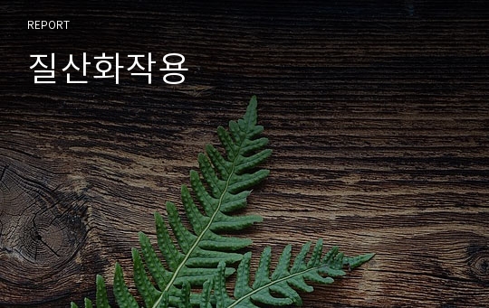 질산화작용