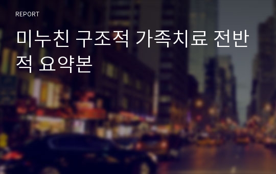 미누친 구조적 가족치료 전반적 요약본