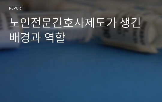 노인전문간호사제도가 생긴 배경과 역할