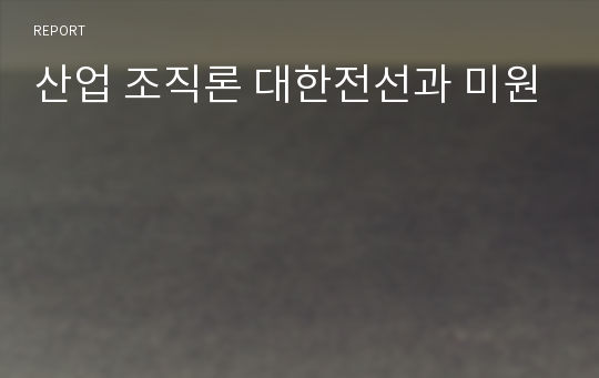 산업 조직론 대한전선과 미원