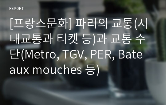 [프랑스문화] 파리의 교통(시내교통과 티켓 등)과 교통 수단(Metro, TGV, PER, Bateaux mouches 등)