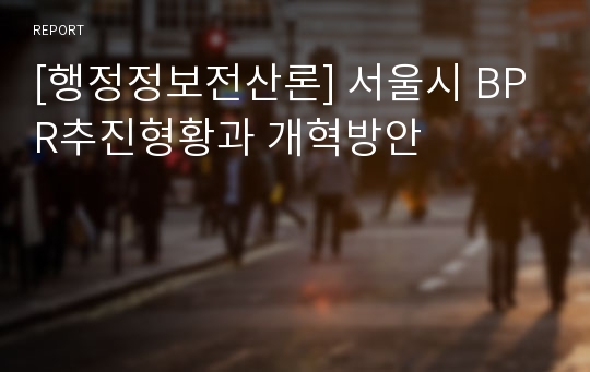[행정정보전산론] 서울시 BPR추진형황과 개혁방안