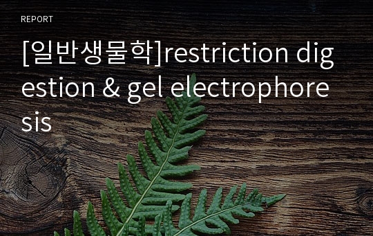 [일반생물학]restriction digestion &amp; gel electrophoresis