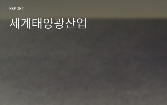 세계태양광산업