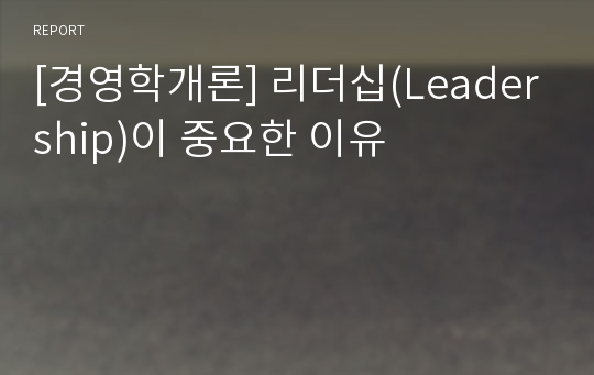 [경영학개론] 리더십(Leadership)이 중요한 이유