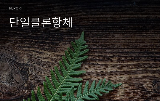 단일클론항체