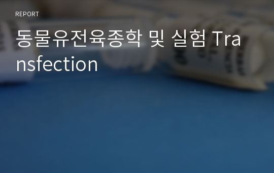 동물유전육종학 및 실험 Transfection