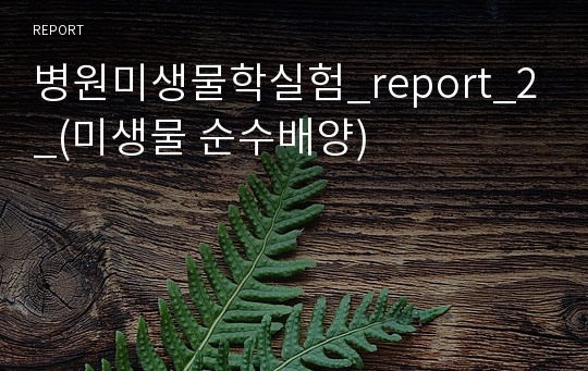 병원미생물학실험_report_2_(미생물 순수배양)