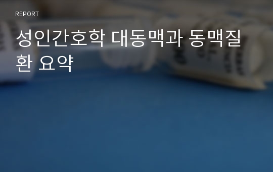 성인간호학 대동맥과 동맥질환 요약