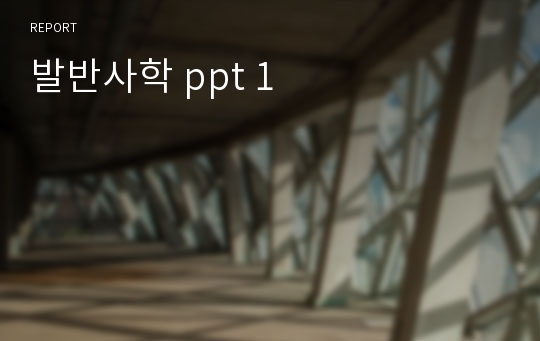 발반사학 ppt 1