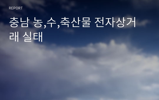 충남 농,수,축산물 전자상거래 실태