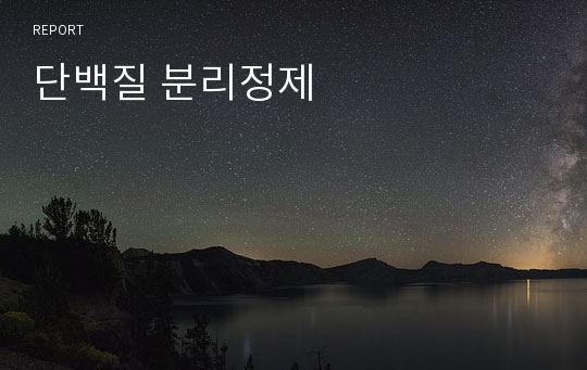 단백질 분리정제