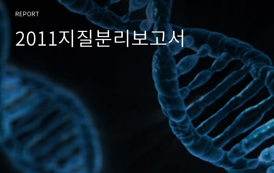 2011지질분리보고서