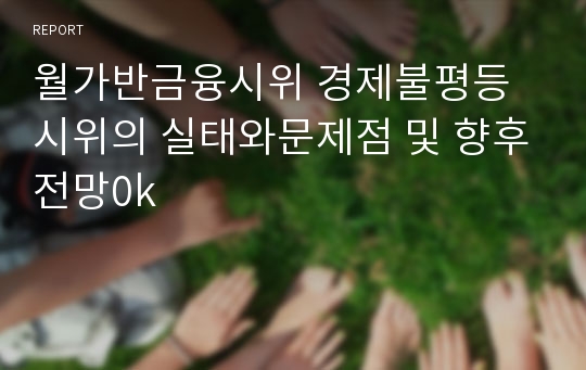 월가반금융시위 경제불평등시위의 실태와문제점 및 향후전망0k