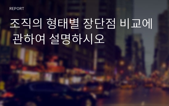 조직의 형태별 장단점 비교에 관하여 설명하시오