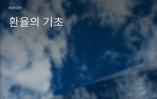 환율의 기초