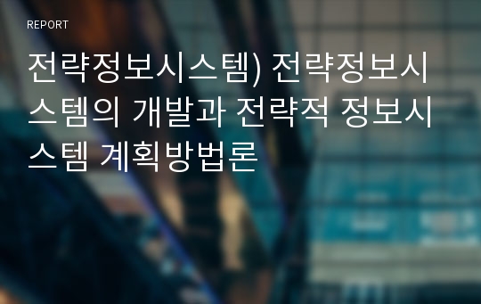 전략정보시스템) 전략정보시스템의 개발과 전략적 정보시스템 계획방법론