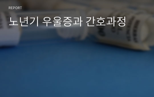 노년기 우울증과 간호과정