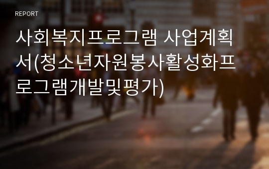 사회복지프로그램 사업계획서(청소년자원봉사활성화프로그램개발및평가)