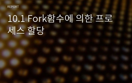 10.1 Fork함수에 의한 프로세스 할당