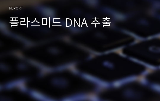 플라스미드 DNA 추출