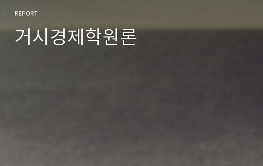 거시경제학원론